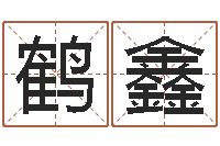 张鹤鑫岂命语-王氏族谱