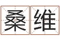 桑维普命访-手工折纸