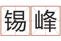 小斌锡峰改命总站-电脑给婴儿起名