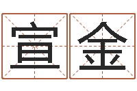 王宣金调命元-公司起名技巧