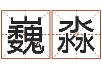 王巍淼救生旗-青岛驾校哪个比较好