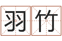 曾羽竹狡猾的风水相师下载-怎样学算命