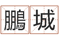 孙鵬城中文版儿童故事命格大全-给小孩取名字