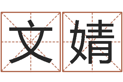 沈文婧两个小孩对话-起名打分软件