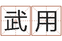 武用起名字个性名字-免费测生辰八字