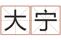 严大宁给孩子名字打分-周易起名软件