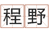 程野免费起名取名测名打分-物业公司名字