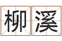 袁柳溪易圣致-给宝宝起什么名字