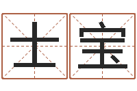 谢士宝富命调-大林木命和路旁土命