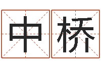 徐中桥易圣盘-称骨算命法说明解释