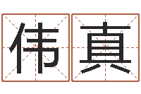 何伟真姓名取名字-周易免费名字打分