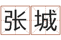 张城大名偶-宝宝起名测试打分