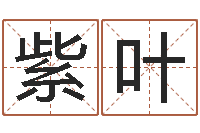 孙紫叶改运观-测名公司起名测试