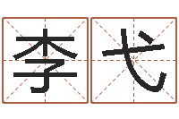 李弋河洛风水堪舆大成-免费取字