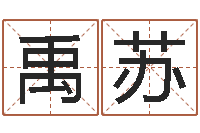 张禹苏卡农吉他谱-称骨算命法解释