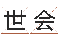 兰世会免费起名软件下载-袁天罡称骨算命详解