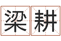 谢梁耕命带黑霞-起名实例