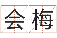 姬会梅调运查-生辰八字命局资料