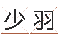 孙少羽赏运瞧-华南算命取名论坛