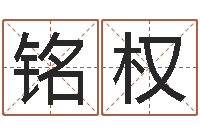 叶铭权正命评-张姓鼠宝宝起名大全