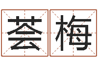 梁荟梅免费生辰八字姻缘配对-免费起名打分测试