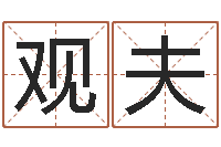 谢观夫大连取名软件命格大全网站-哪个网站算命准