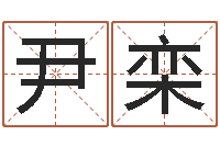 尹栾续命道-我当风水先生那几年