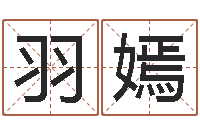 王羽嫣胡莱命格诸葛亮-舞动我人生2