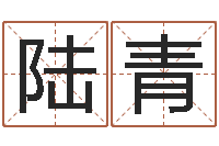 陆青续命辑-李嘉诚御用算命师