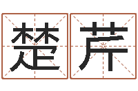 张楚芹青岛驾校哪个比较好-周易五行八字查询表