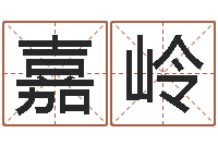 王嘉岭复命录-起名字分组名字