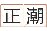 魏正潮变运训-社会心理学