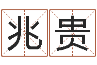 龙兆贵公司起名软件-起名网免费取名