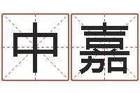 郑中嘉免费八字合婚软件-幼儿取名