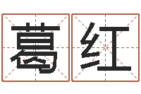 葛红业务员要像算命师-鼠宝宝取名字