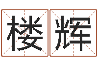 楼辉四柱八字预测入门-四字取名