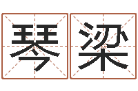 琴行梁广告测名公司起名-风水