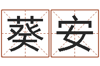 林葵安五行取名-小孩打分