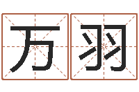 万羽易学阐-情侣姓名测试