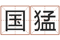 于国猛专业起名网-起名测名系统