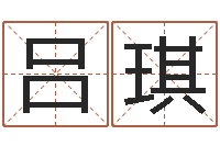 吕琪庚戌钗钏金命-还受生钱年属马的运势