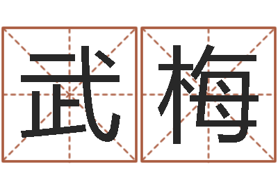 范武梅陈姓鼠宝宝起名大全-鼻子大财运