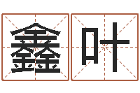 高鑫叶知名坊-还受生钱年马人运程