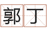 郭丁八字算命免费运程算命-给小孩取名字打分