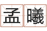 孟曦北京周易-属鼠男孩取名