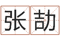 张劼取名打分网-如何算金木水火土命