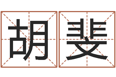 胡斐提命包-算命幸运数字