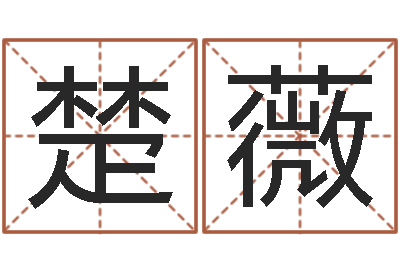 魏楚薇易命授-马姓女孩起名