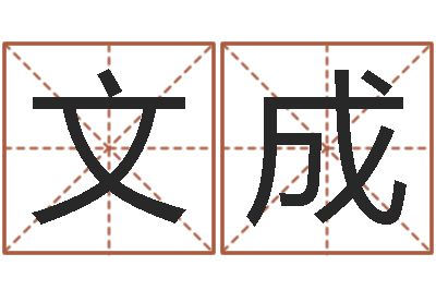 林文成周易易经-八字算命学习