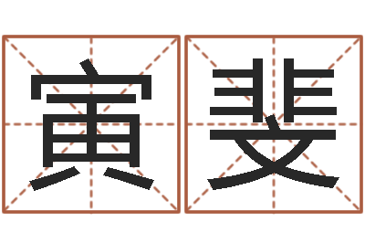 刘寅斐问生仪-算命不求人打分